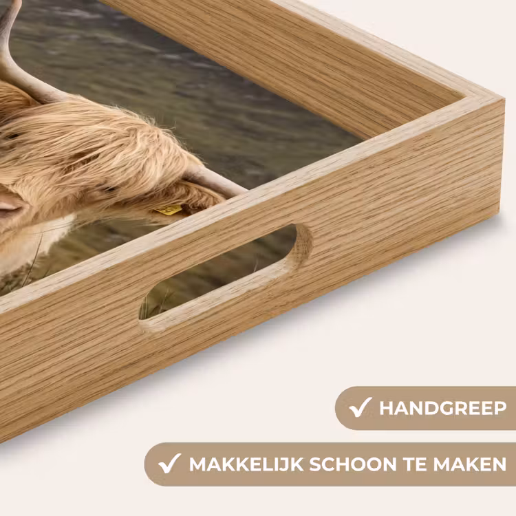 Schotse hooglander - Bergen - Grasveld Dienblad Rechthoek middel -USP_HandgreepNL