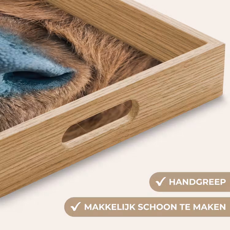 Schotse hooglander - Neus - Bruin Dienblad Rechthoek middel -USP_HandgreepNL