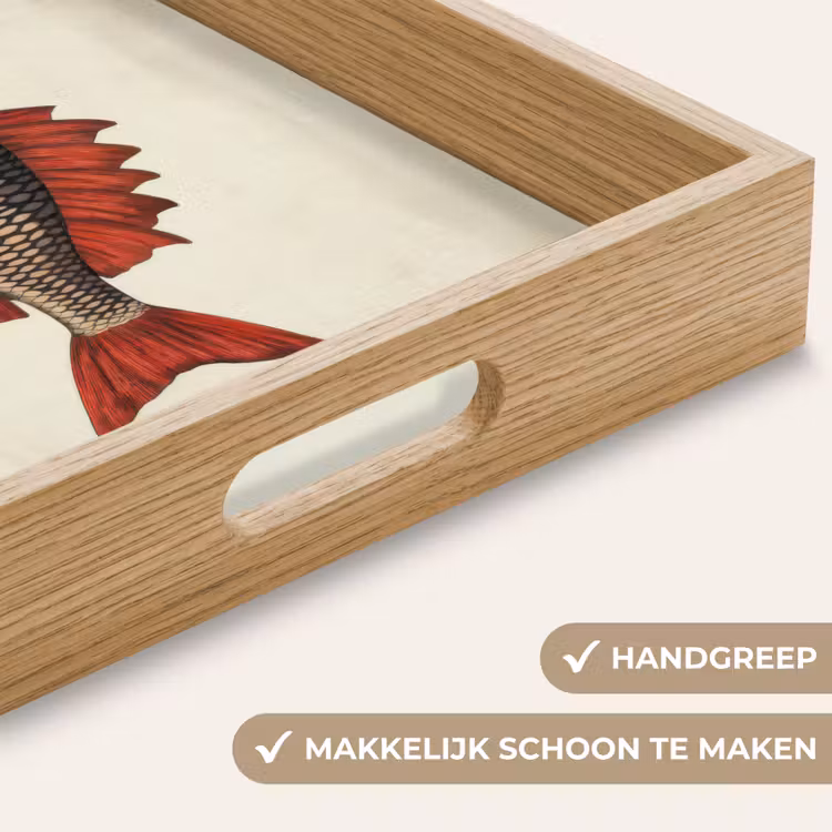 Schubben - Rood - Vis - Vinnen Dienblad Rechthoek middel -USP_HandgreepNL