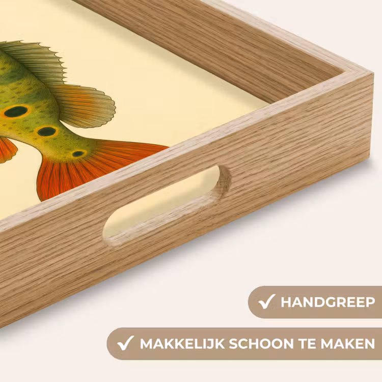 Schubben - Vis - Groen - Illustratie Dienblad Rechthoek middel -USP_HandgreepNL