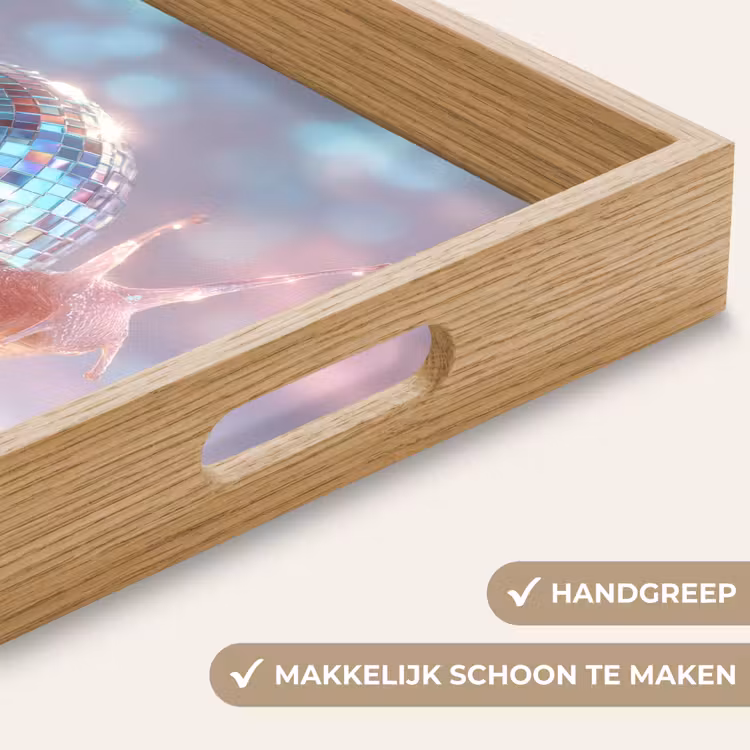 Slak - Disco - Mozaïek - Blauw Dienblad Rechthoek middel -USP_HandgreepNL