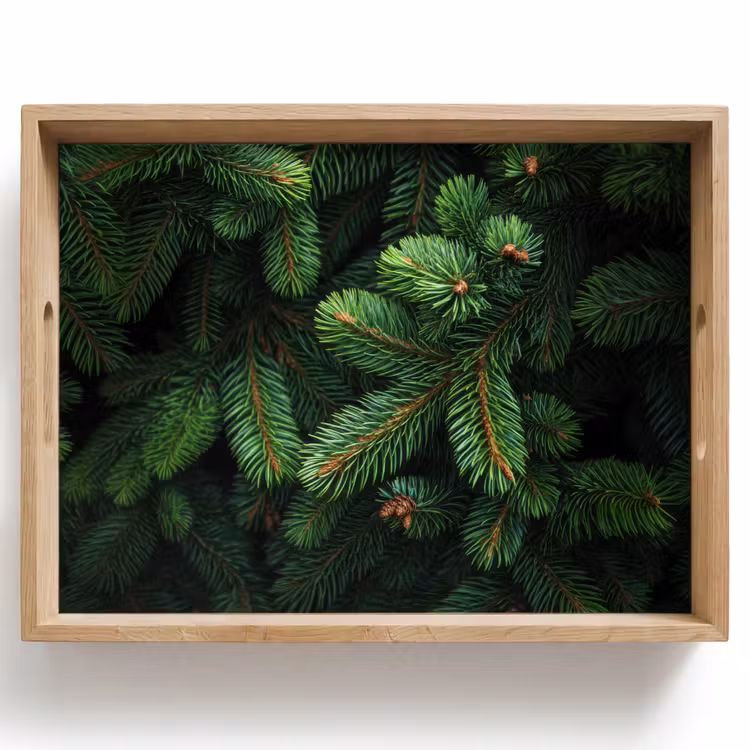 Sparrentakken - Knoppen - Naalden - Groen Dienblad Rechthoek middel -z3d_shopping