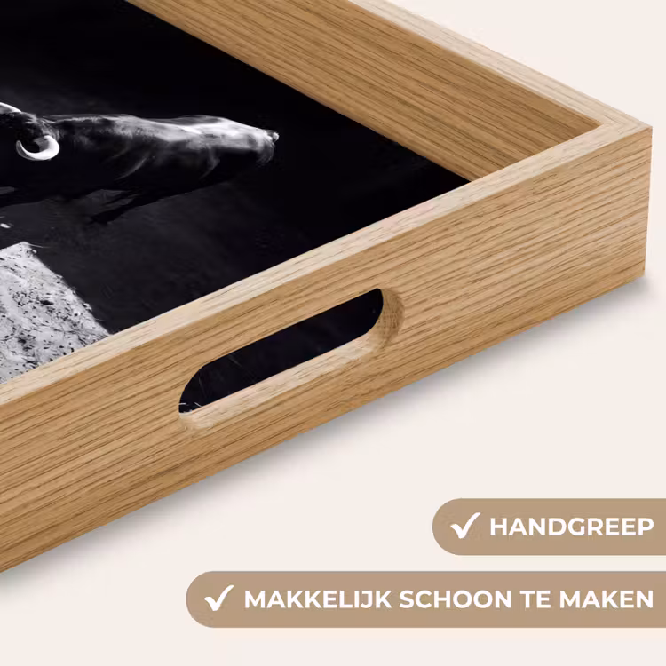 Stier - Schaduw - Dieren - Contrast - Zwart-wit Dienblad Rechthoek middel -USP_HandgreepNL