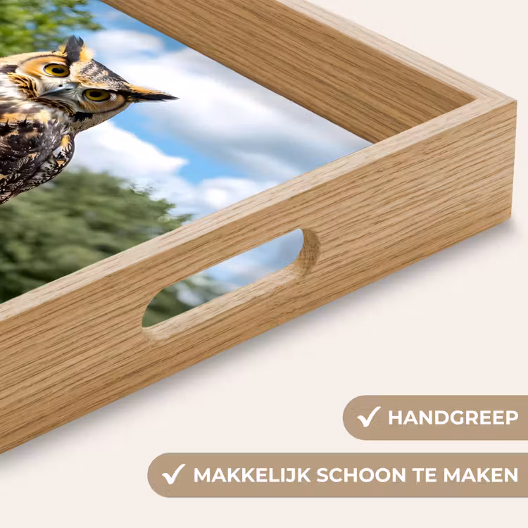 Uil - Boomstronk - Bos - Lucht Dienblad Rechthoek middel -USP_HandgreepNL