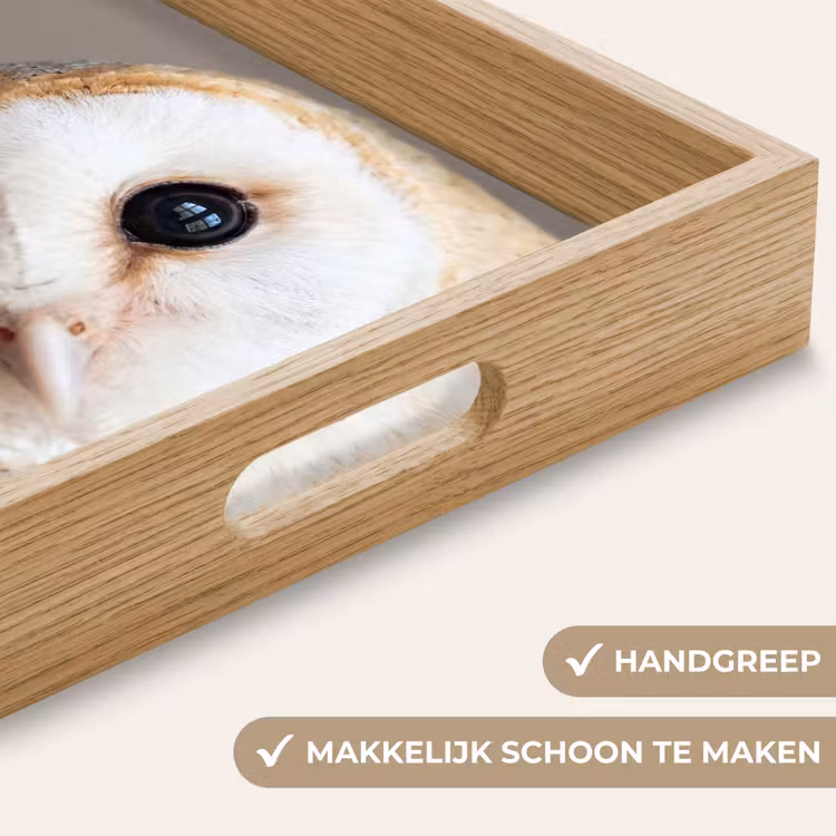 Uil - Bruin - Wit Dienblad Rechthoek middel -USP_HandgreepNL