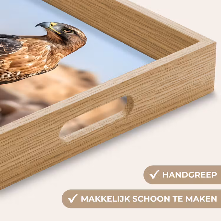 Valk - Vogel - Rots - Macht Dienblad Rechthoek middel -USP_HandgreepNL