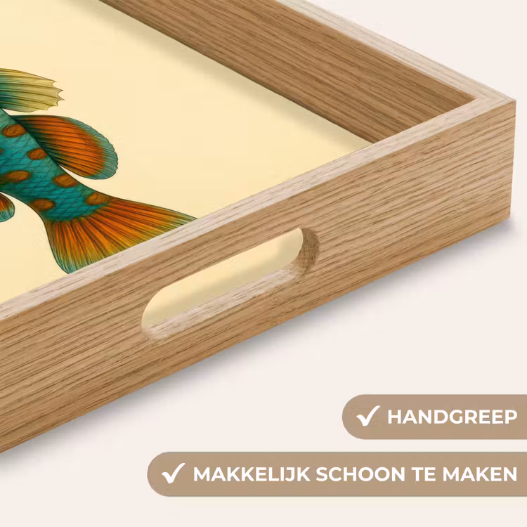 Vis - Blauw - Stippen - Schubben Dienblad Rechthoek middel -USP_HandgreepNL