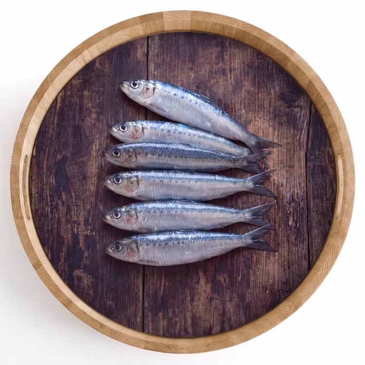 Dienblad - Vis - Hout - Eten - Vis - Hout - Eten Dienblad Rond middel