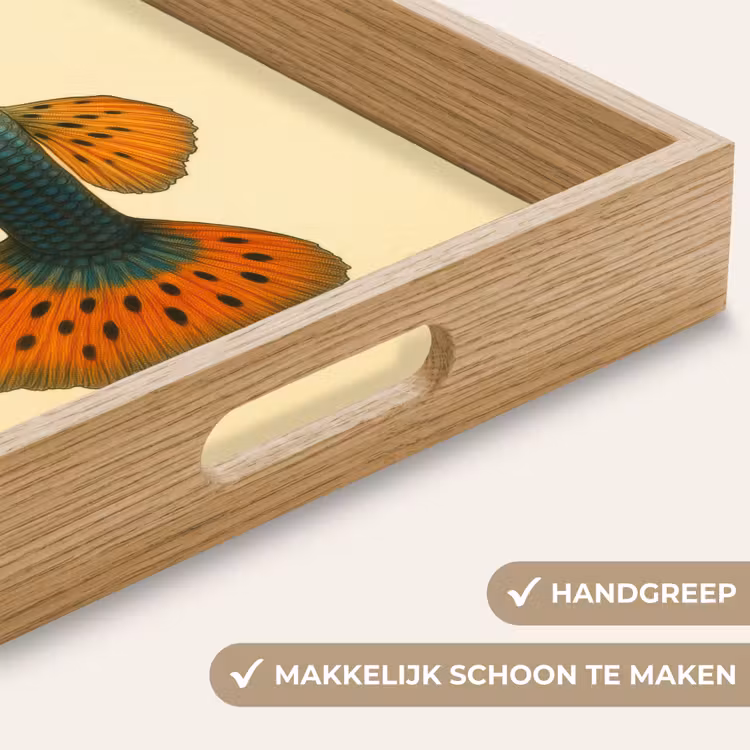 Vis - illustratie - Stippen - Oranje Dienblad Rechthoek middel -USP_HandgreepNL