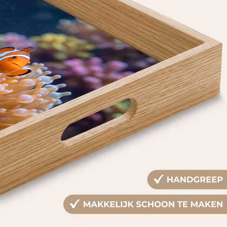 Vis - Koraal - Onderwater - Oranje - Dieren Dienblad Rechthoek middel -USP_HandgreepNL