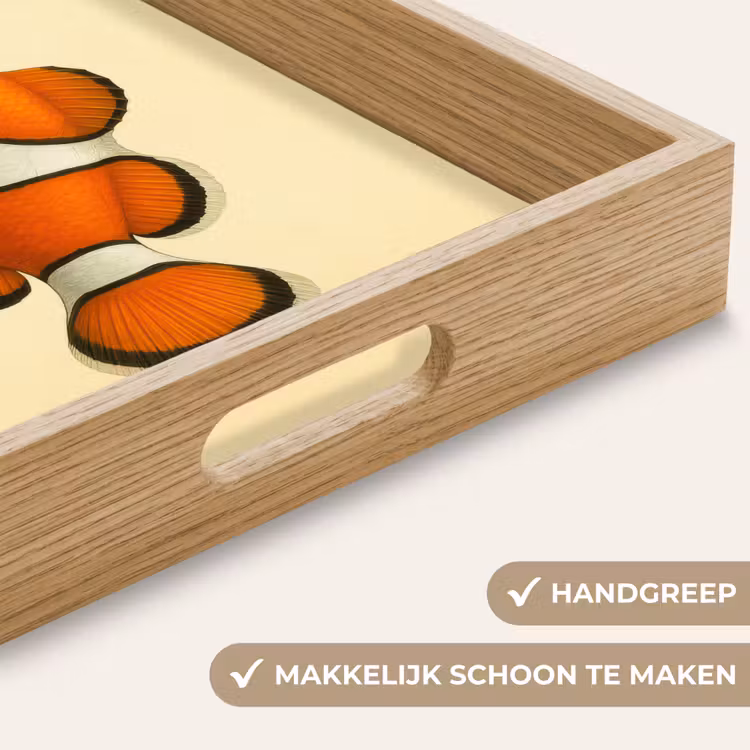 Vis - Oranje - Strepen Dienblad Rechthoek middel -USP_HandgreepNL