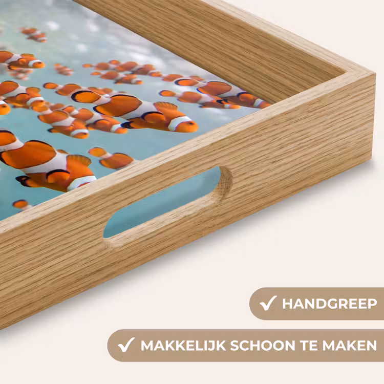 Vis - School - Onderwater - Dieren - Oranje Dienblad Rechthoek middel -USP_HandgreepNL