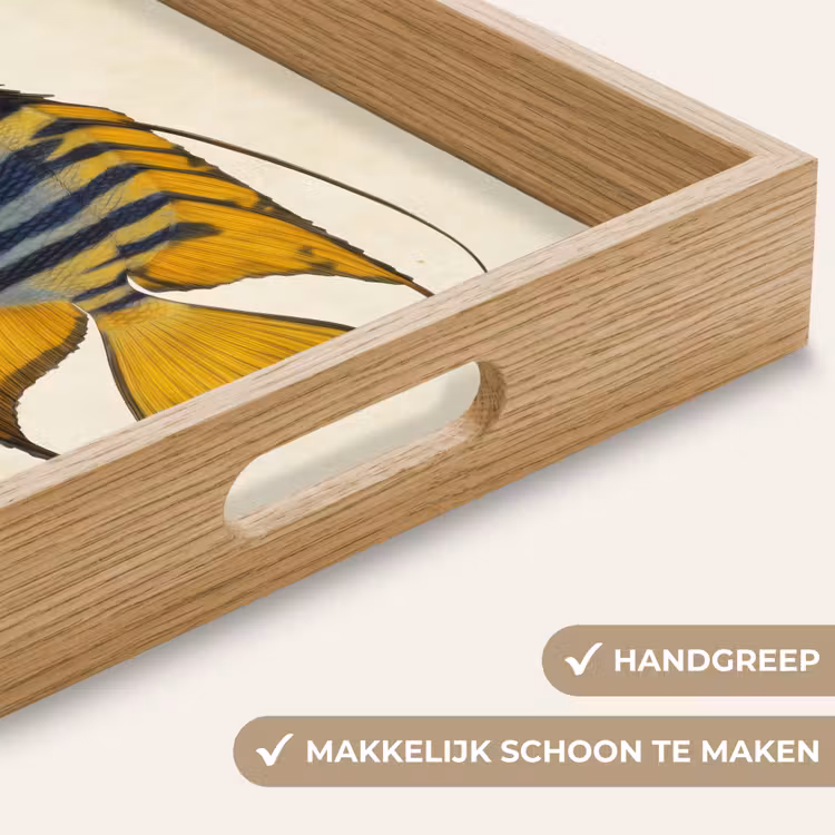 Vis - Sierlijk - Vinnen - Illustratie Dienblad Rechthoek middel -USP_HandgreepNL