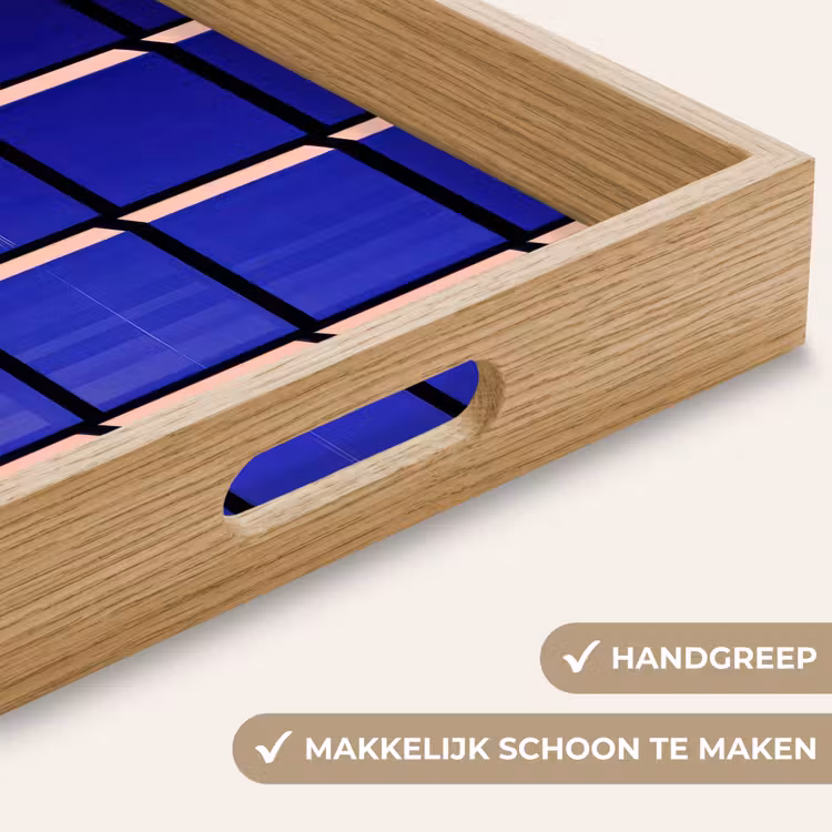 Vliegtuig - Ruiten - Blauw - Rechthoekig Dienblad Rechthoek middel -USP_HandgreepNL