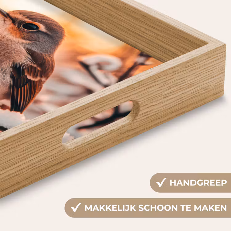 Vogel - Tak - Winter - Dieren - Sneeuw Dienblad Rechthoek middel -USP_HandgreepNL