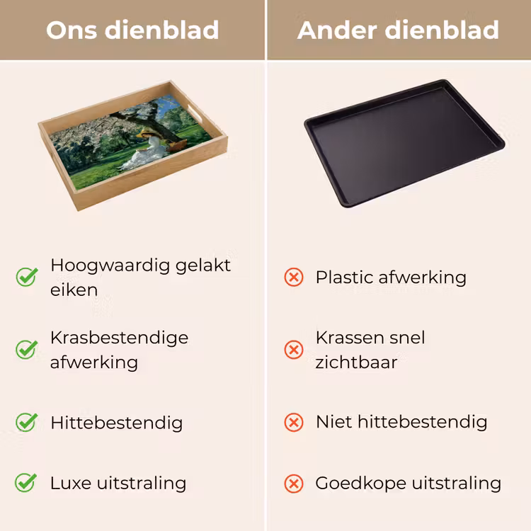 Vrouw - Boom - Boek - Mandje Dienblad Rechthoek middel -USP_VergelijkingNL