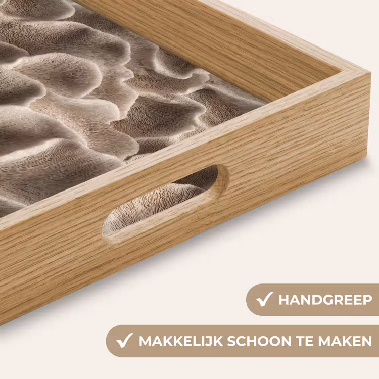Waaiervorm - Beige - Vezel textuur Dienblad Rechthoek middel 911 -USP_HandgreepNL