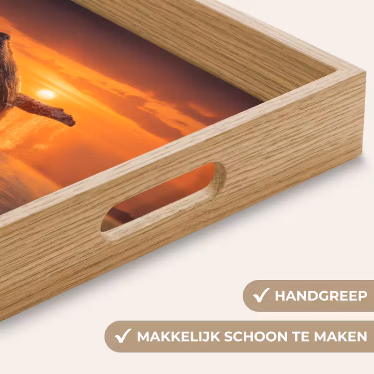 Walvis - Zon - Zee Dienblad Rechthoek middel -USP_HandgreepNL