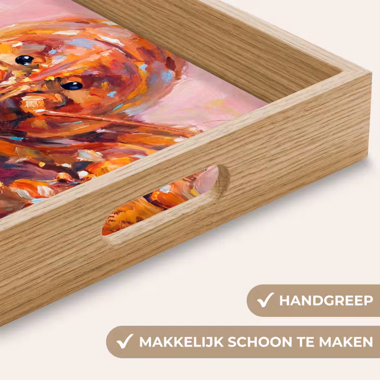 Zeeleven - Kreeft - Spatters - Abstract - Roze Dienblad Rechthoek middel -USP_HandgreepNL
