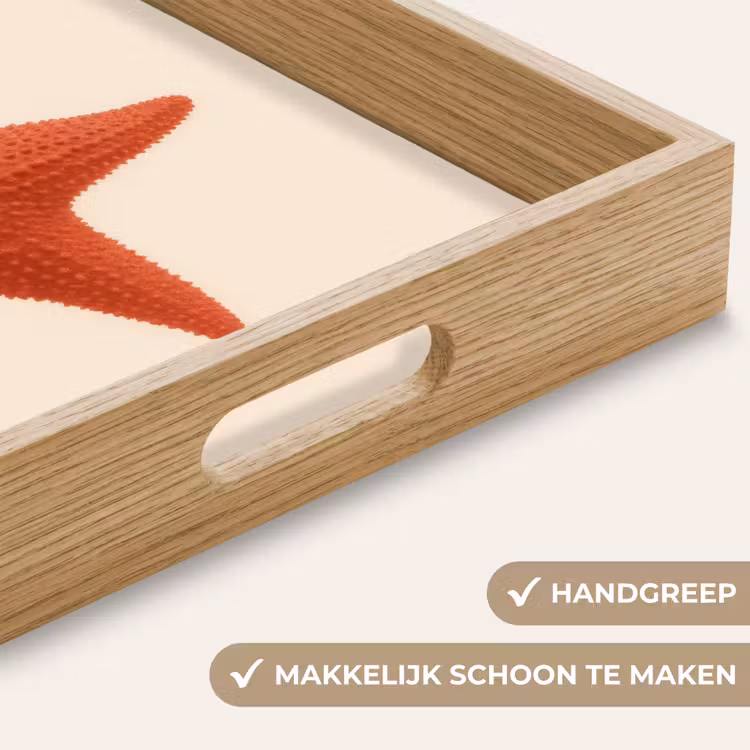 Zeester - Bobbels - Rood Dienblad Rechthoek middel -USP_HandgreepNL