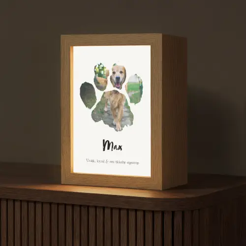 upload-69ddf9ede2b33-dierenpootje Light Box met kabel (Tafellamp) klein -z3d_website