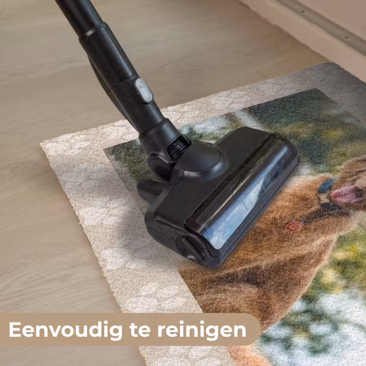 Dierenpoot - Lijst Deurmat klein -reinigen_NL