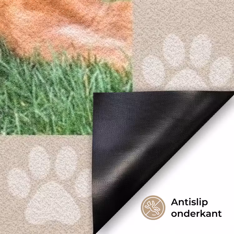 Tatzenabdruck – Rahmen Deurmat klein -antislip_NL