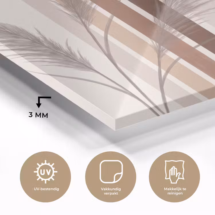 Abstract - Bogen - Plant - Boho - Beige plexiglas 5mm klein -sfeer2