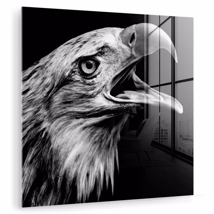 Adelaar - Portret - Roofvogels - Zwart - Wit - Vogel plexiglas 5mm klein -zzzproduct_nieuw