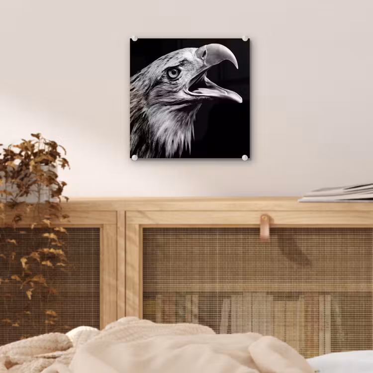 Adelaar - Portret - Roofvogels - Zwart - Wit - Vogel plexiglas 5mm klein -sfeer4