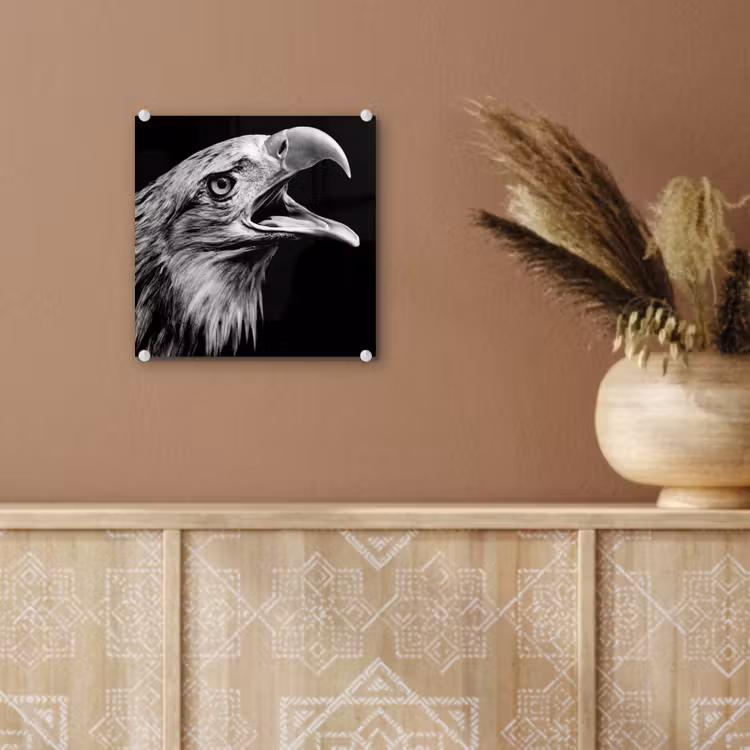 Adelaar - Portret - Roofvogels - Zwart - Wit - Vogel plexiglas 5mm klein -sfeer5