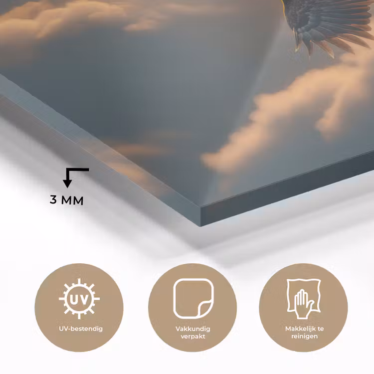 Adelaar - Wolken - Zon plexiglas 5mm klein -sfeer2