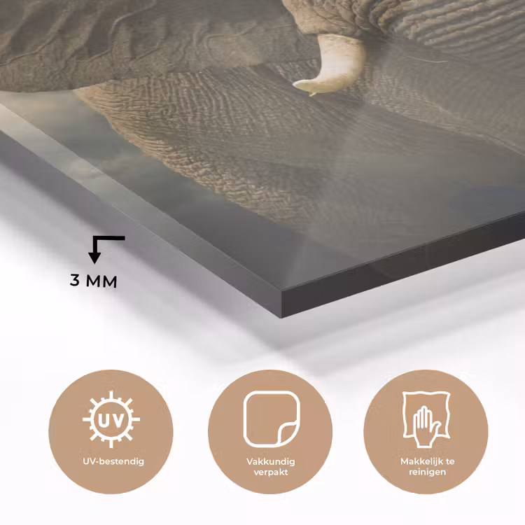 Afrikaanse olifant tegen de donkere wolken plexiglas 5mm klein -sfeer2