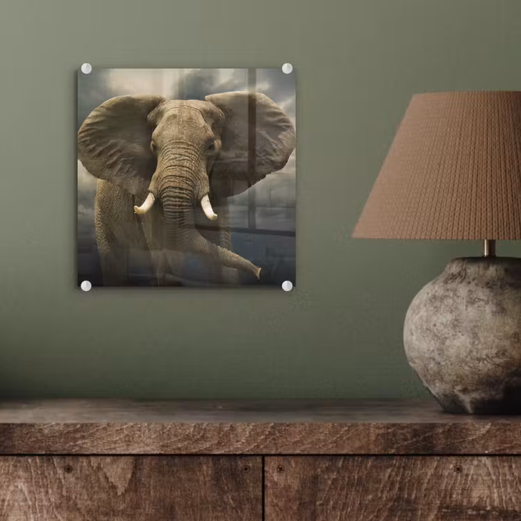 Afrikaanse olifant tegen de donkere wolken plexiglas 5mm klein -sfeer3