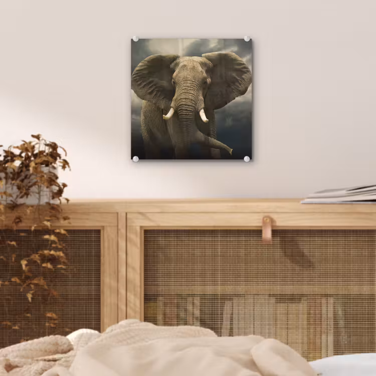 Afrikaanse olifant tegen de donkere wolken plexiglas 5mm klein -sfeer4