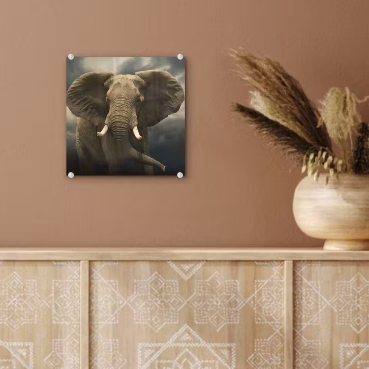 Afrikaanse olifant tegen de donkere wolken plexiglas 5mm klein -sfeer5