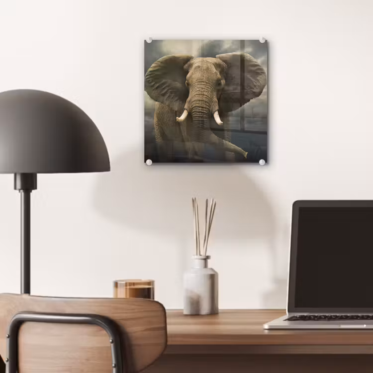 Afrikaanse olifant tegen de donkere wolken plexiglas 5mm klein -sfeer6