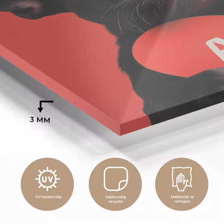 Amor - Hond - Hartje - Rood plexiglas 5mm klein -sfeer2