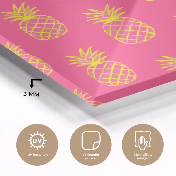 Ananas - Trendy - Roze plexiglas 5mm klein 11 -sfeer2