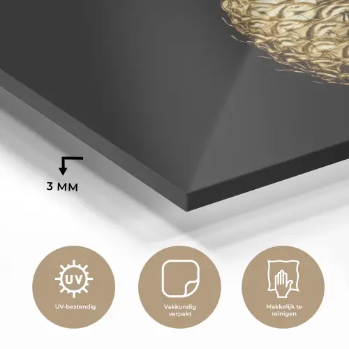 Ananas - Zwart - Goud - Luxe plexiglas 5mm klein -sfeer2