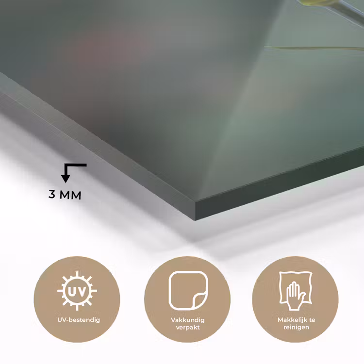 Anjer - Roze - Bloemblaadjes plexiglas 5mm klein -sfeer2