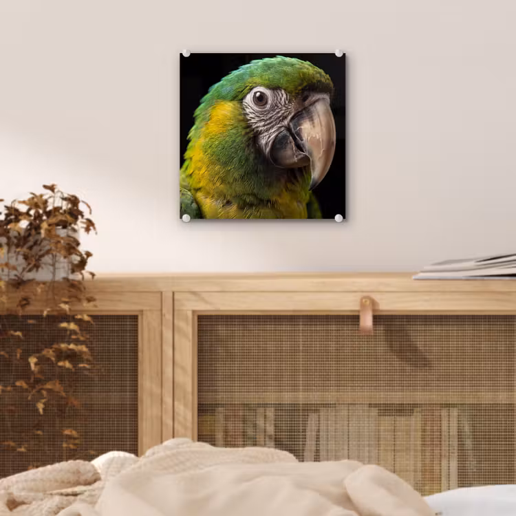 Ara - Portret - Groen plexiglas 5mm klein -sfeer4