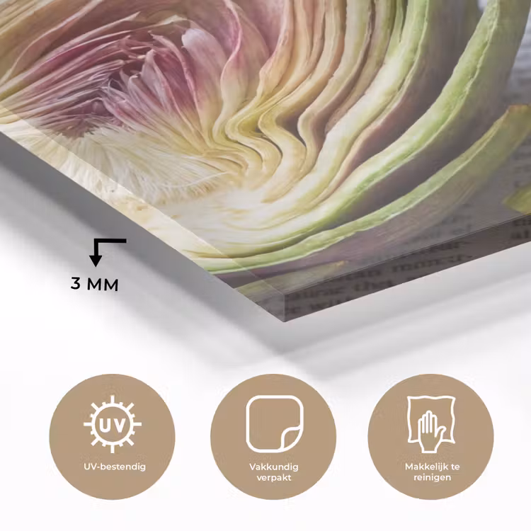 Glas schilderij - Artisjok - Doorgesneden - Eten - Artisjok - Doorgesneden - Eten plexiglas 5mm klein