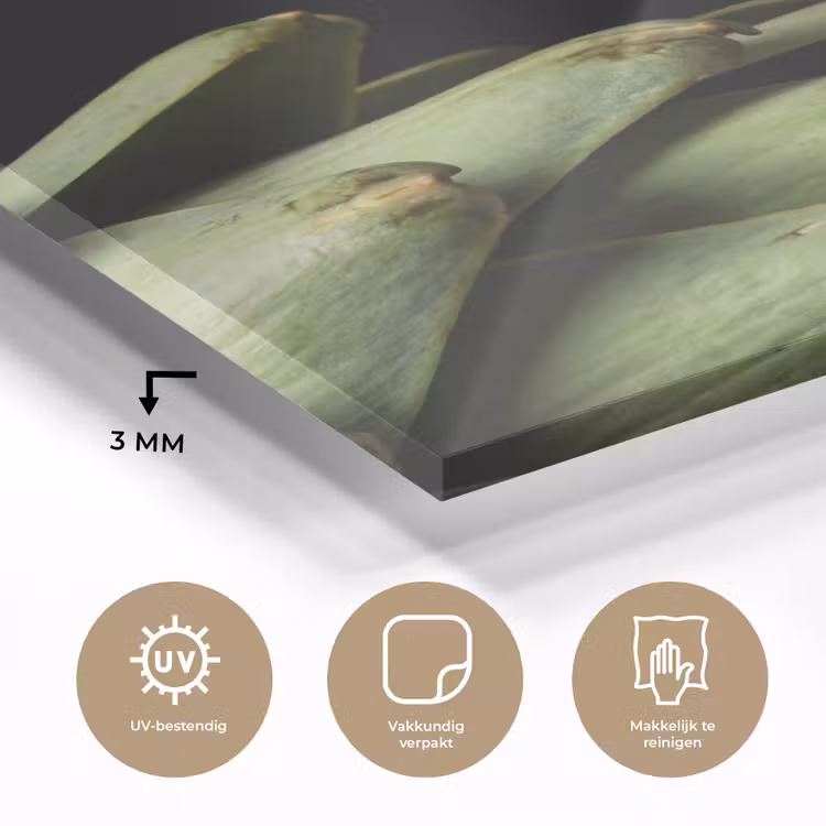 Glas schilderij - Artisjok - Groen - Eten - Artisjok - Groen - Eten plexiglas 5mm klein