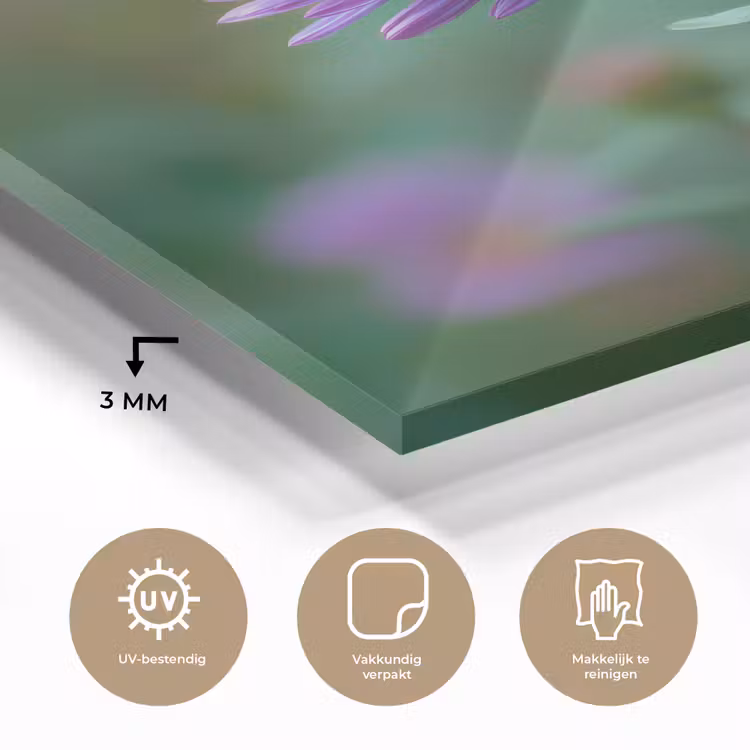 Aster - Paars - Bloem - Blaadjes plexiglas 5mm klein -sfeer2