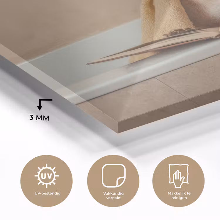 Bad - Hond - Boek - Zonnebril plexiglas 5mm klein -sfeer2