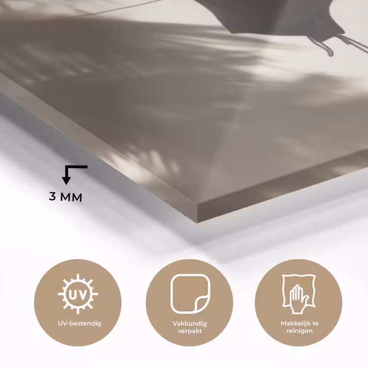 Badkleding - Palmbomen - Schaduw - Tropisch plexiglas 5mm klein -sfeer2