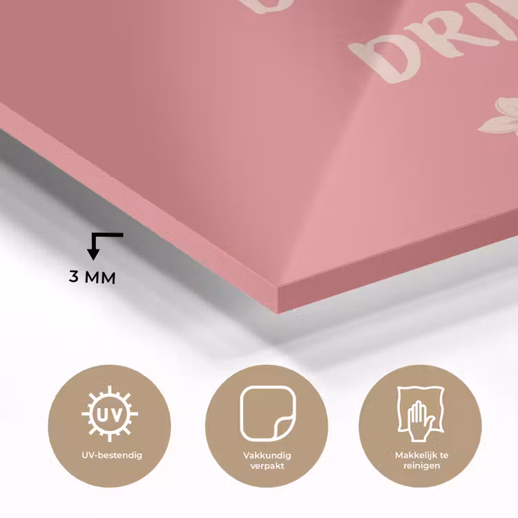BBQ - Quote - Roze - Zomer plexiglas 5mm klein -sfeer2