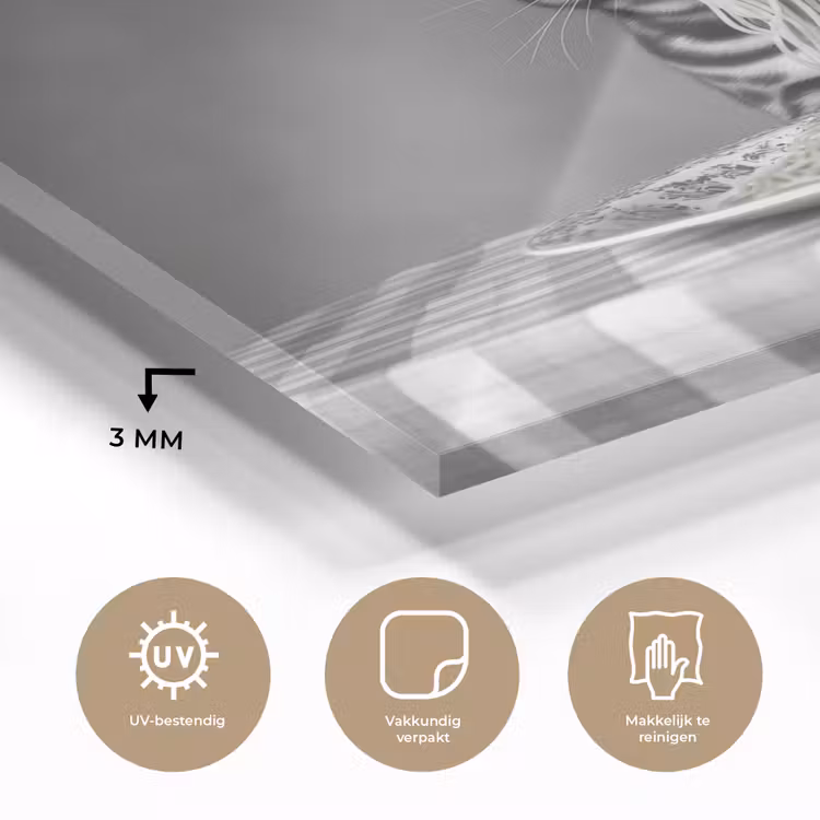 Bengaal - Kat - Tafelkleed - Zwart - Wit - Dier plexiglas 5mm klein -sfeer2