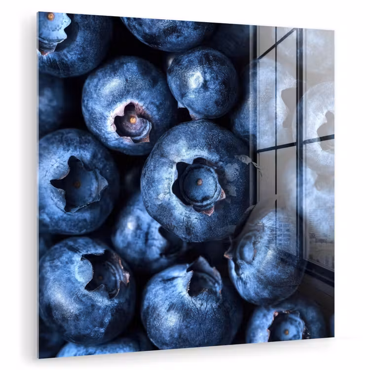 Bessen - Blauw - Fruit plexiglas 5mm klein -zzzproduct_nieuw